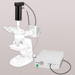 Microscopic Spot Measurements